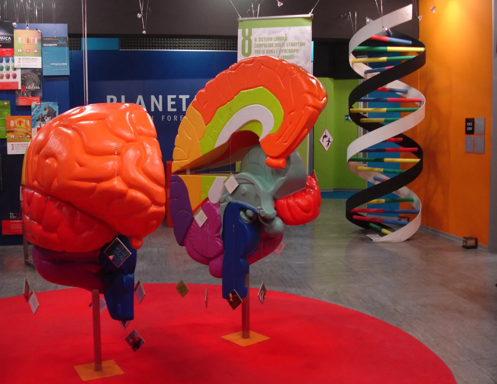 Immaginario Scientifico - Science Museum