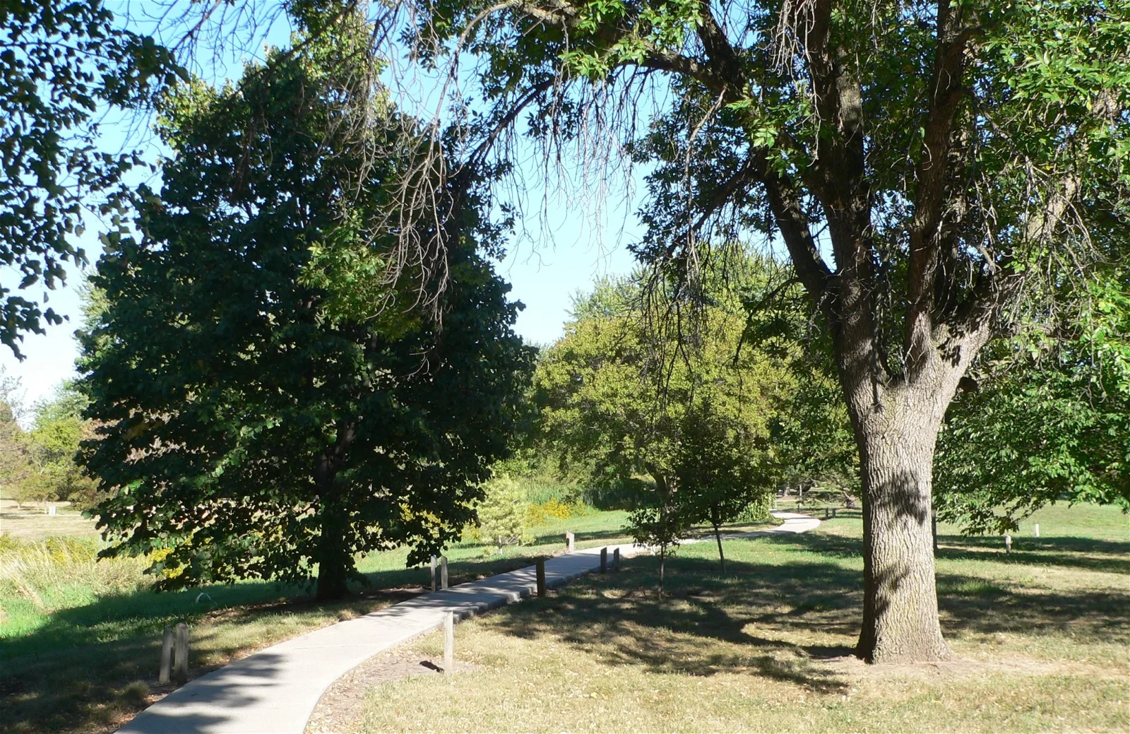 Gilman Park Arboretum