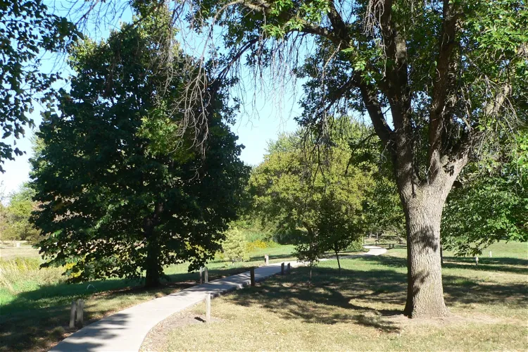Gilman Park Arboretum