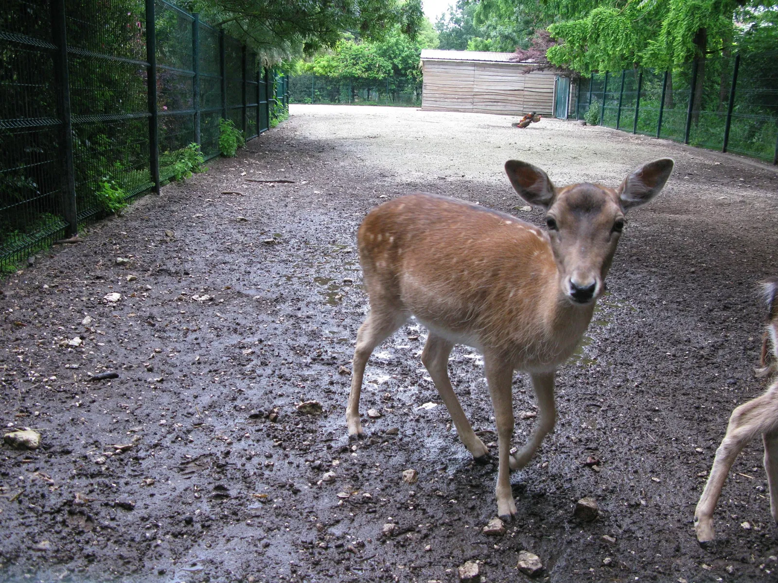 Parc Animalier Charles-Édouard Beltremieux
