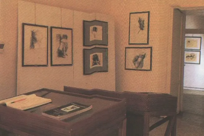 Museo Emilio Greco