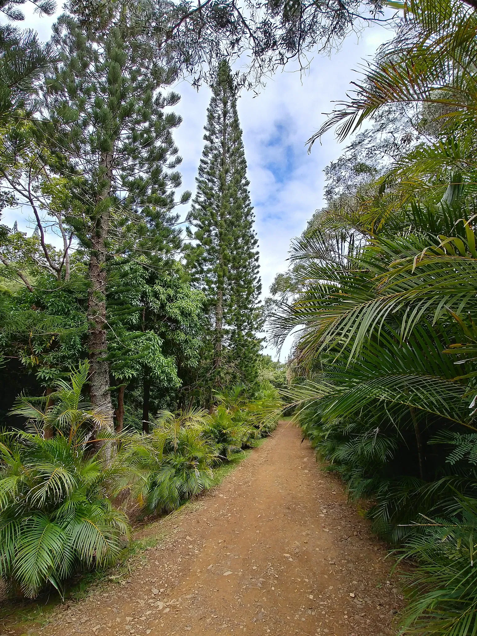 Parc Zoologique et Forestier