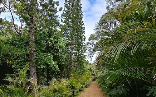 Parc Zoologique et Forestier