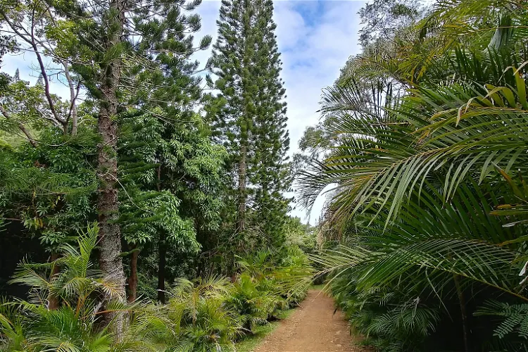 Parc Zoologique et Forestier