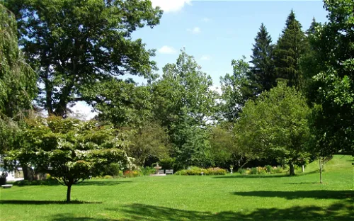 Hebert Arboretum