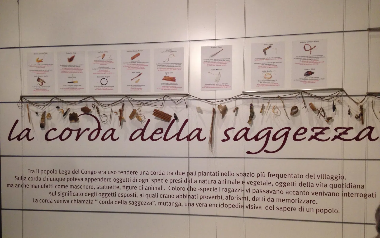 Museo d'Arte Cinese ed Etnografico