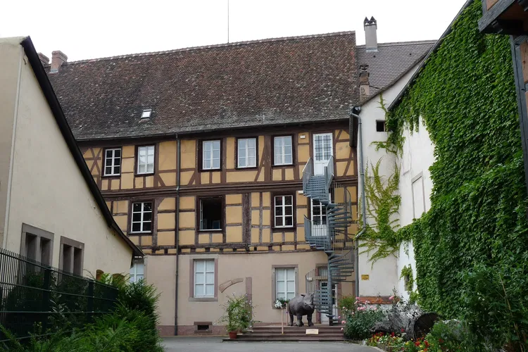Musée d'Histoire Naturelle et d'Ethnographie