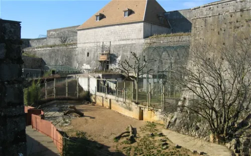 Muséum de Besançon