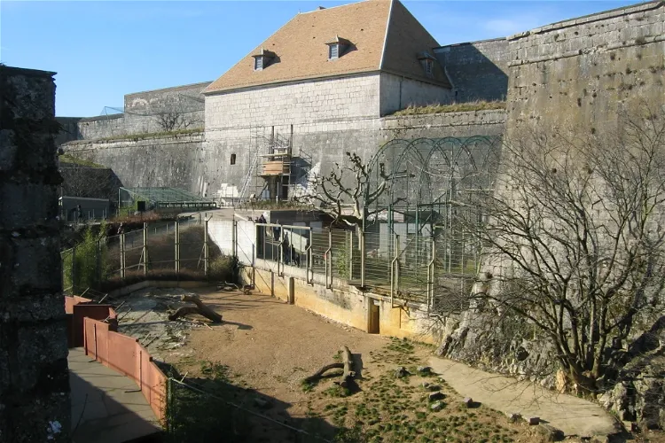 Muséum de Besançon