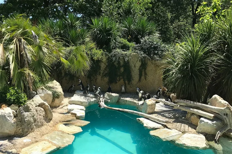 Giardino Zoologico di Pistoia