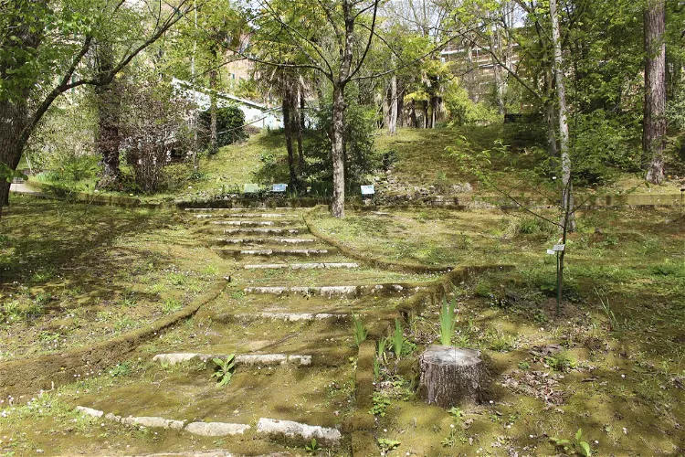 Museo botanico e L'Erbario dell'Università di Siena