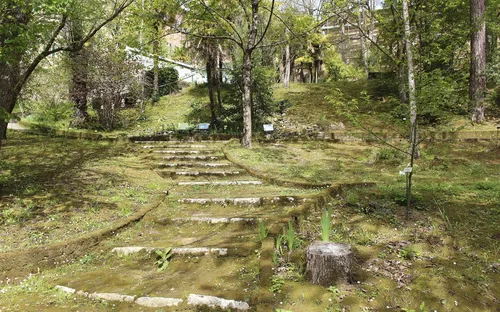 Orto Botanico dell'Università di Siena