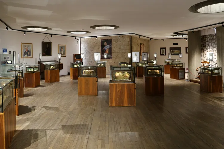 Museo "Raccolta delle cere anatomiche di Clemente Susini"