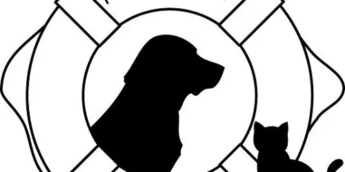 Permanent exhibit: Afloat, Aloft and Ashore