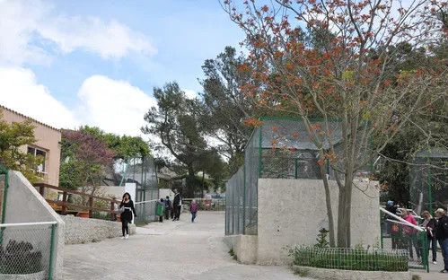 Parc Animalier du Mont Faron