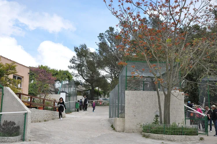 Parc Animalier du Mont Faron