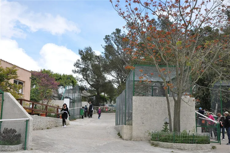 Zoo Fauverie du Faron