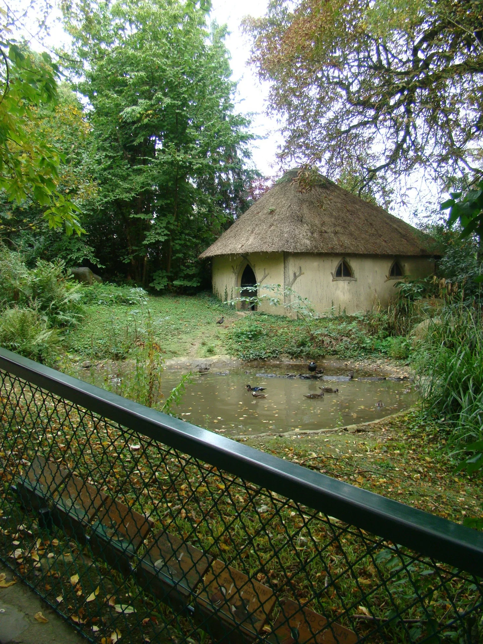 Enclos aux canards