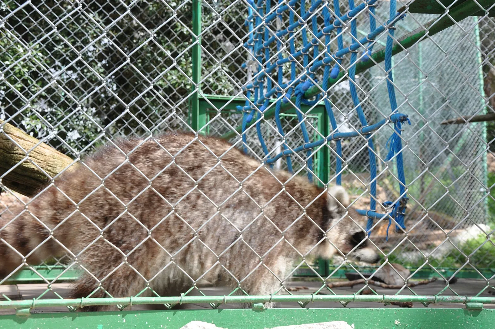 Parc Animalier du Mont Faron