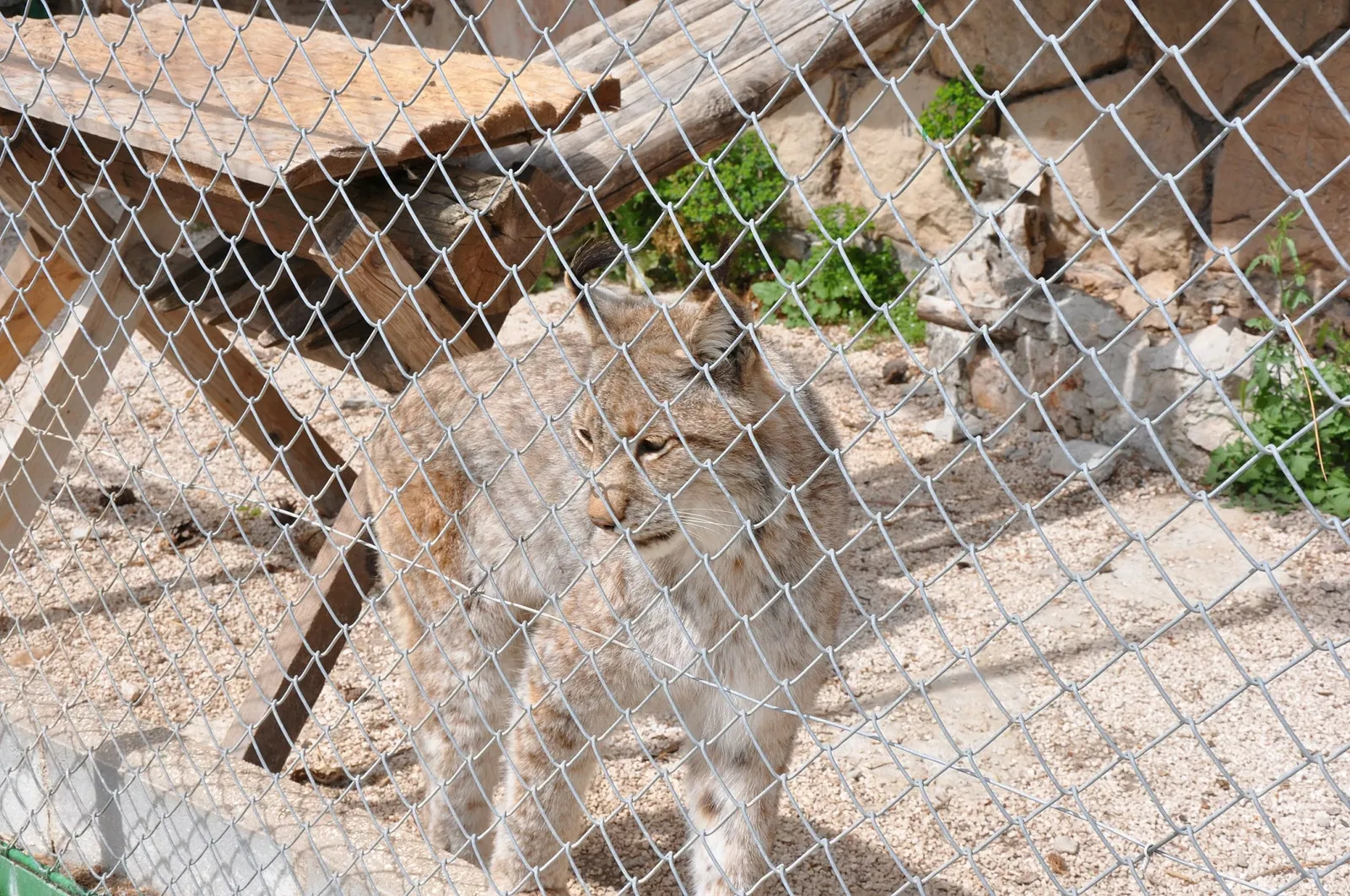 Zoo Fauverie du Faron