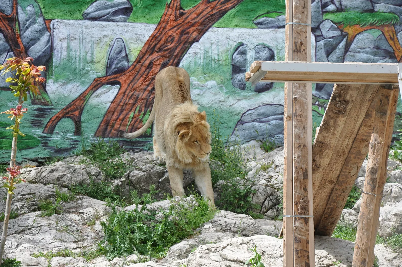 Zoo Fauverie du Faron