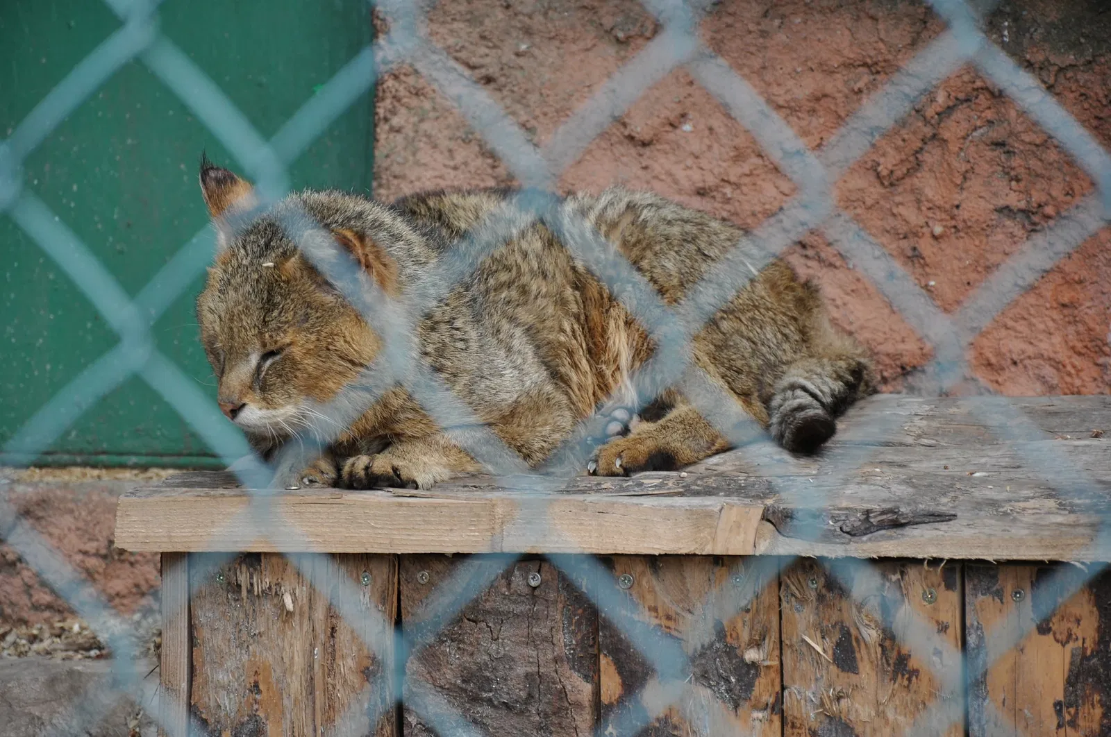 Zoo Fauverie du Faron