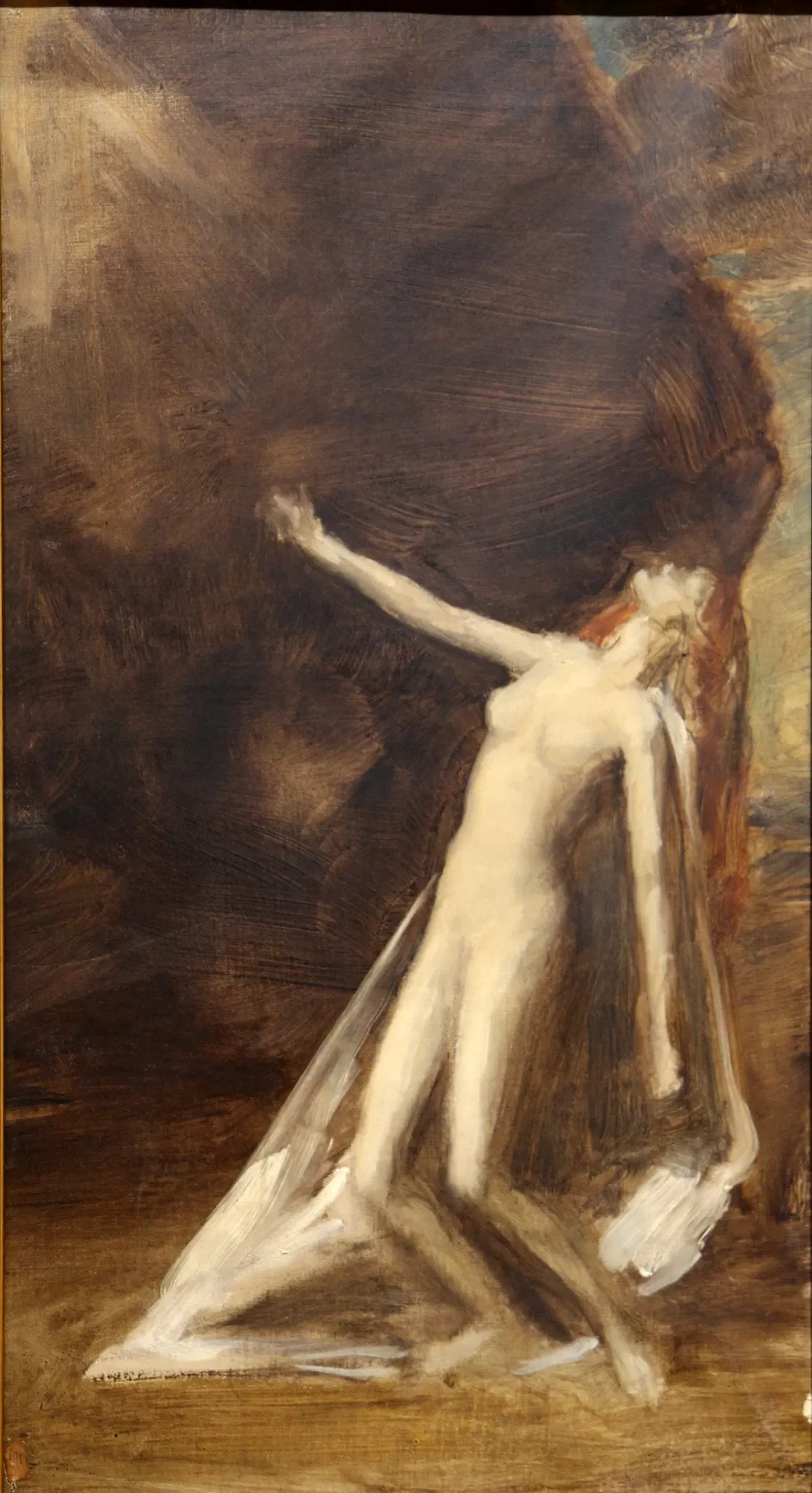 Musée d'Art de Toulon