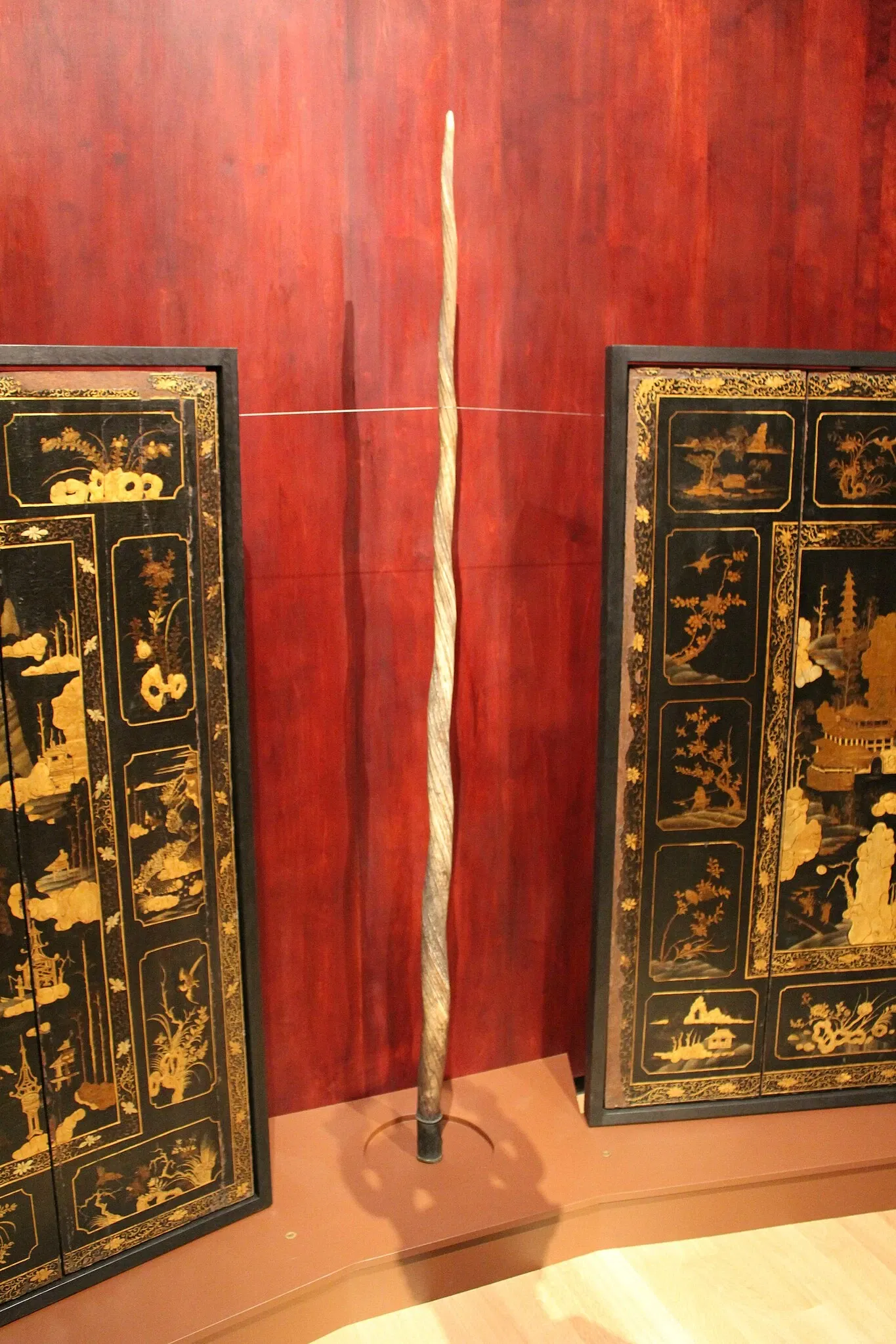 Museo di belle arti di Rennes