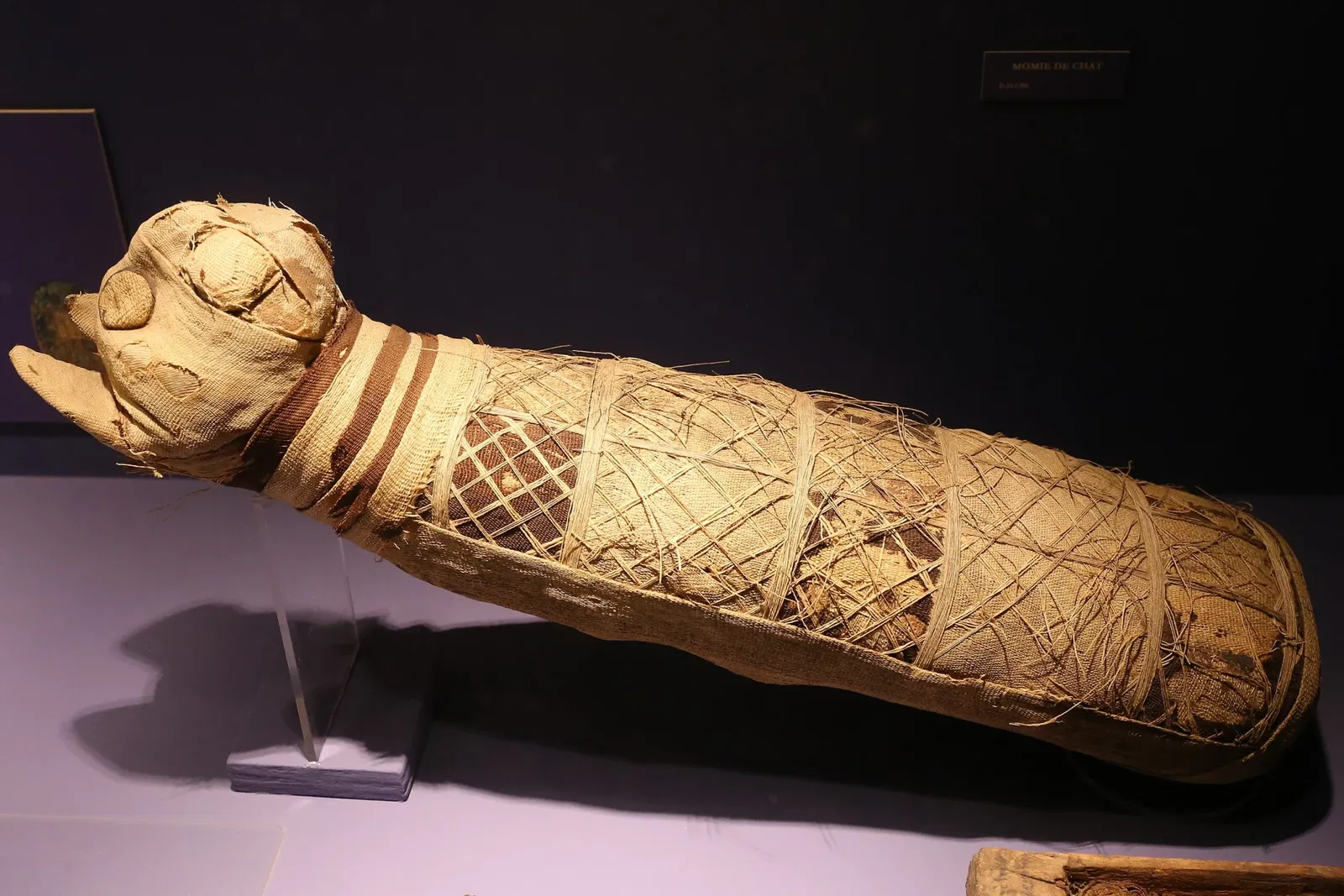 Musée des Beaux-Arts