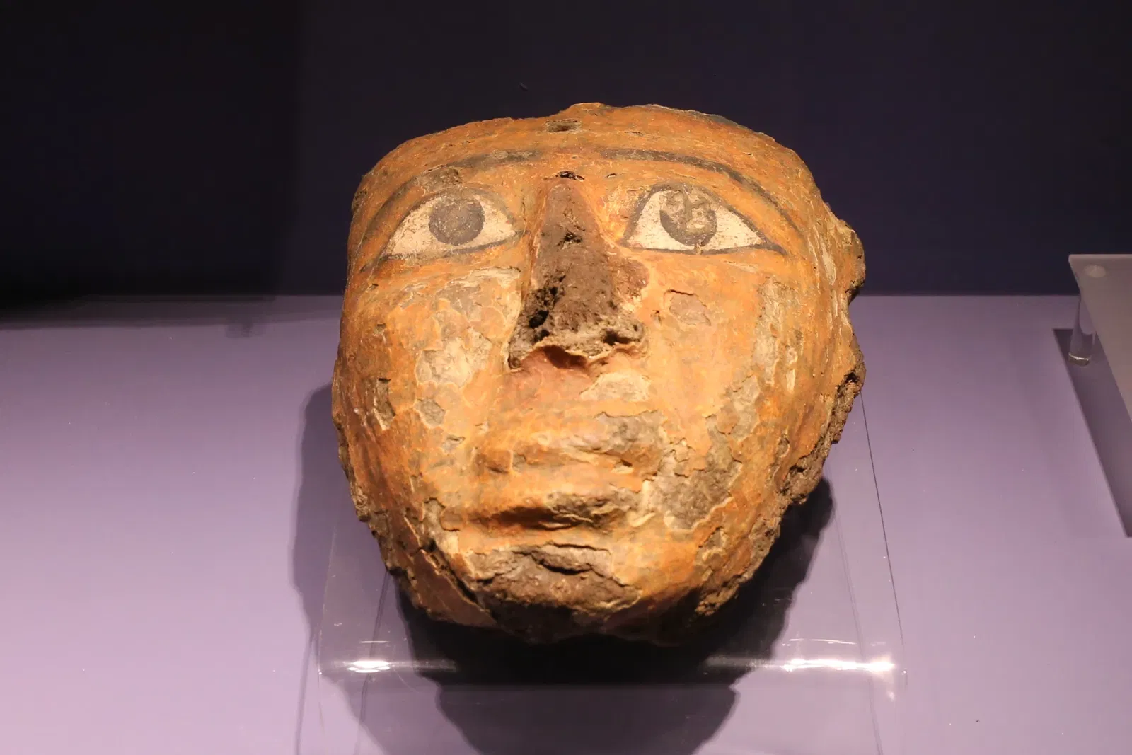 Museum of Fine Arts of Rennes