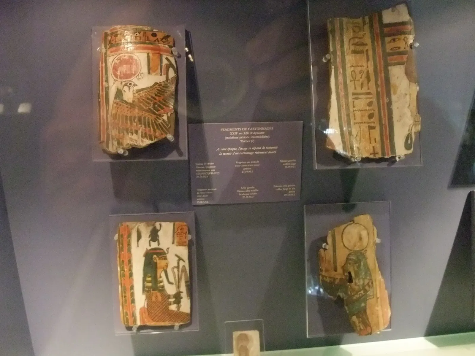 Musée des Beaux-Arts