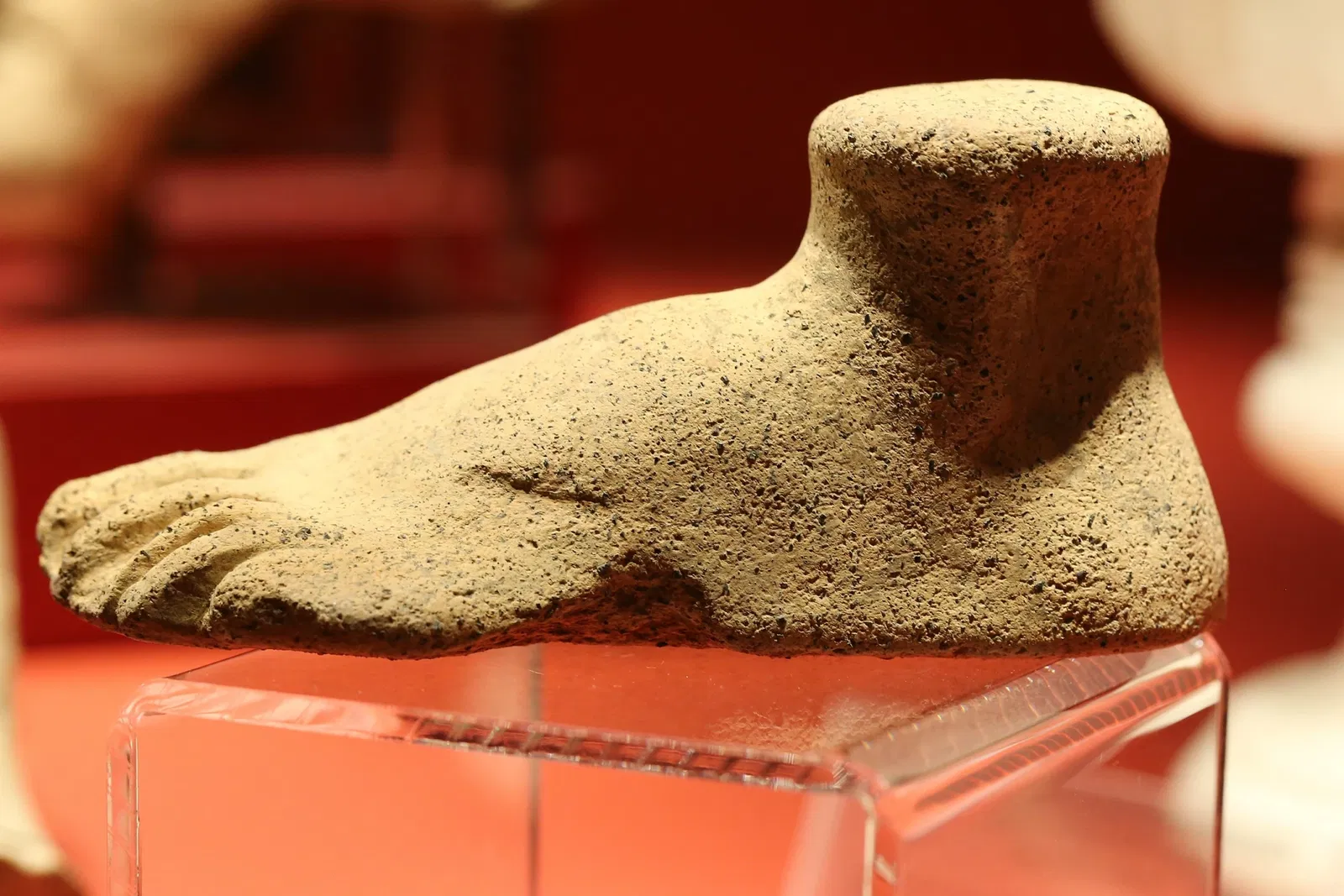 Museum of Fine Arts of Rennes