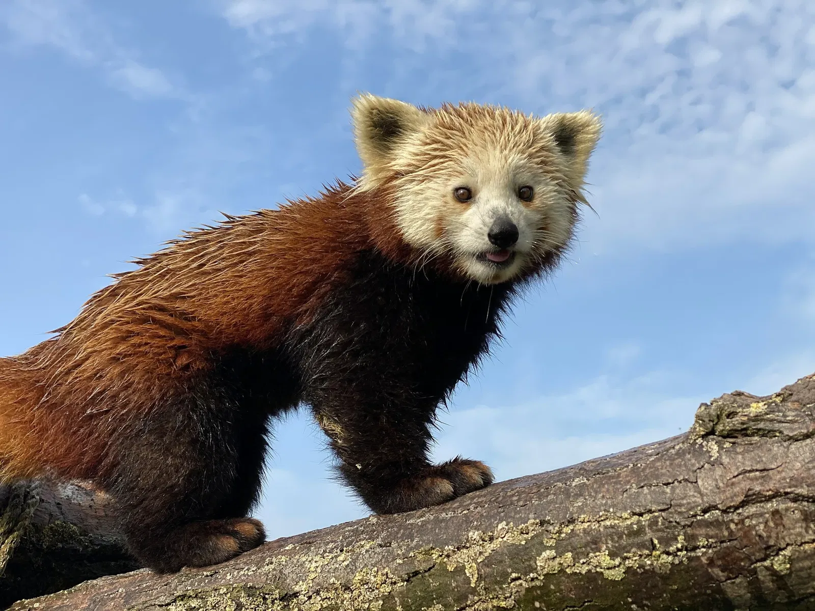 Bio-Topia Fort-Mardyck