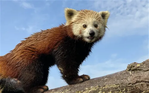 Bio-Topia Fort-Mardyck