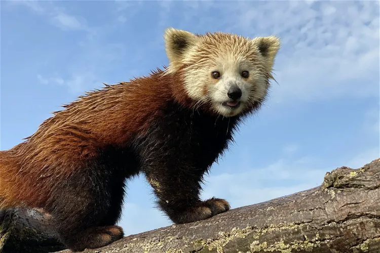 Bio-Topia Fort-Mardyck