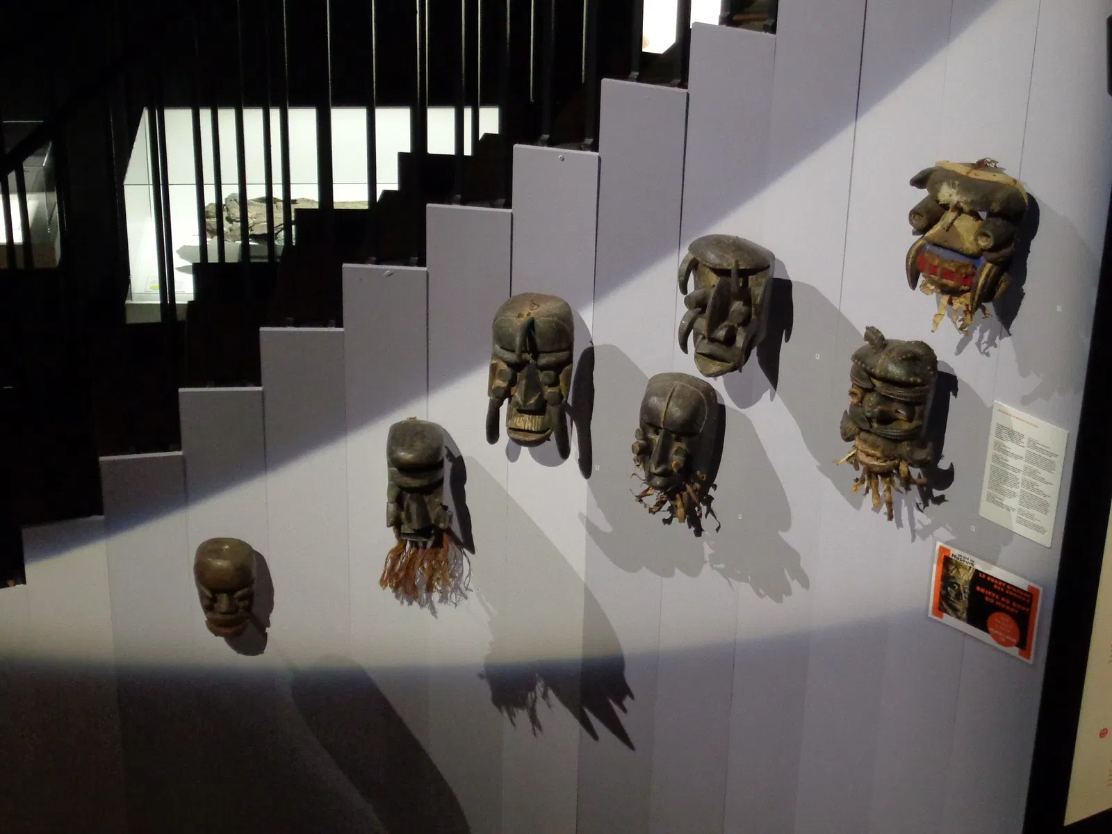 Muséum d'Histoire Naturelle