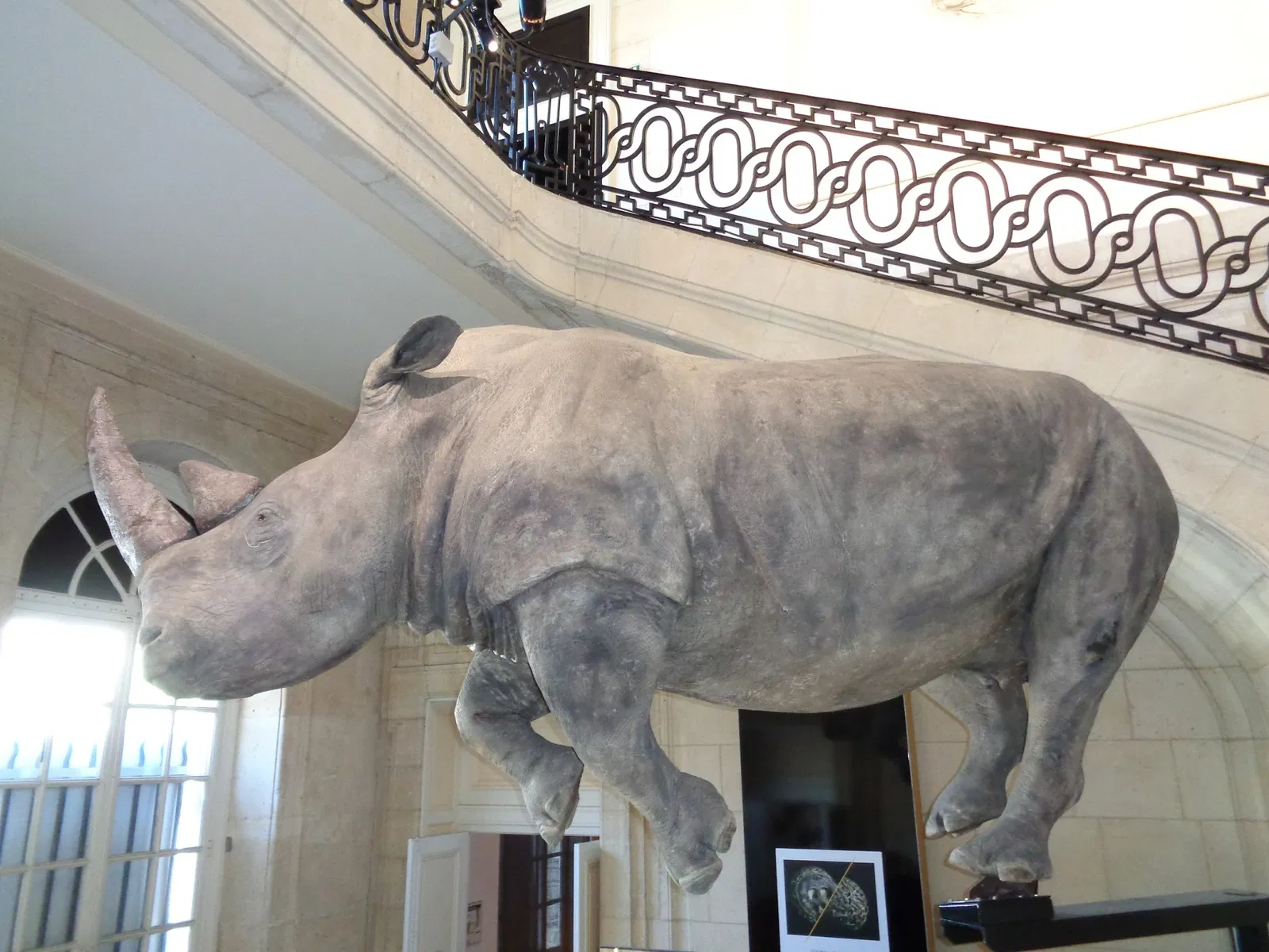 Muséum d'Histoire Naturelle