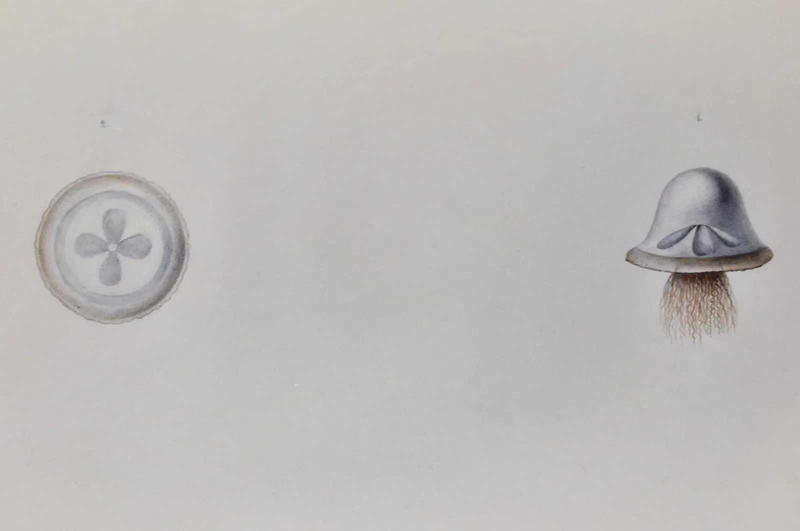 Natural History Museum