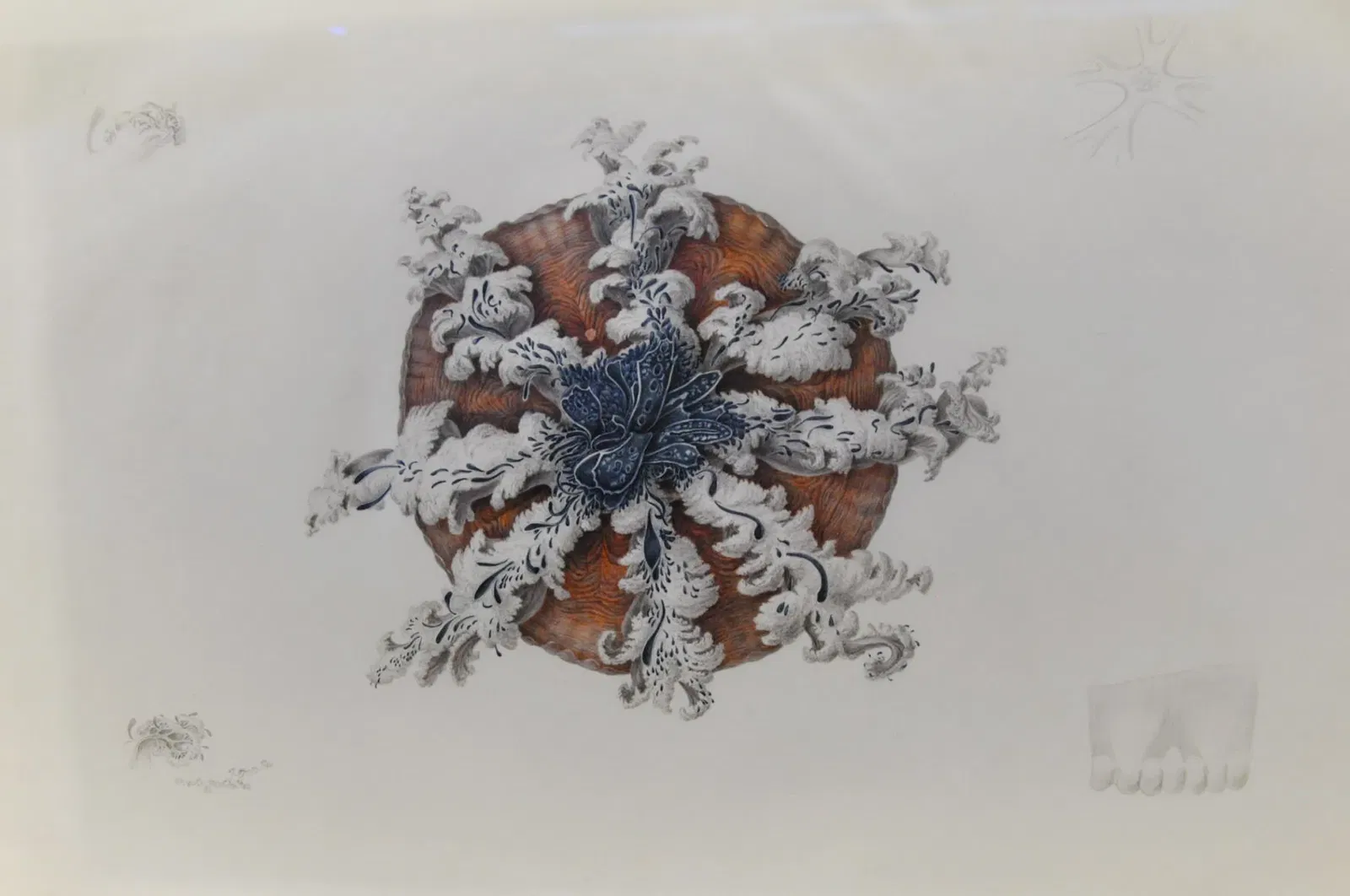 Muséum d'Histoire Naturelle