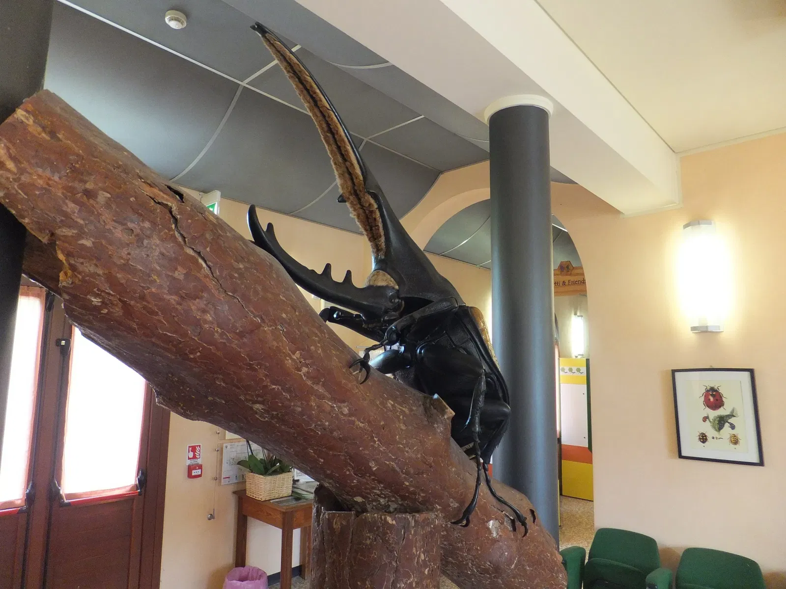 Esapolis – Museo Vivente degli Insetti