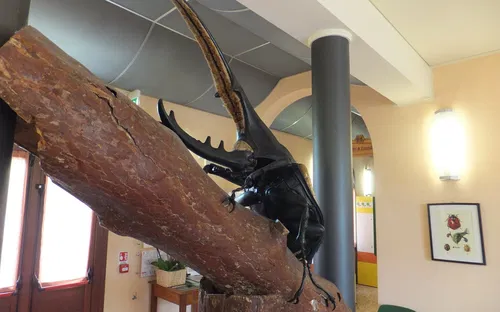 Esapolis – Museo Vivente degli Insetti