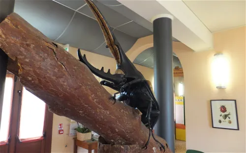 Esapolis - Museo Vivente degli insetti