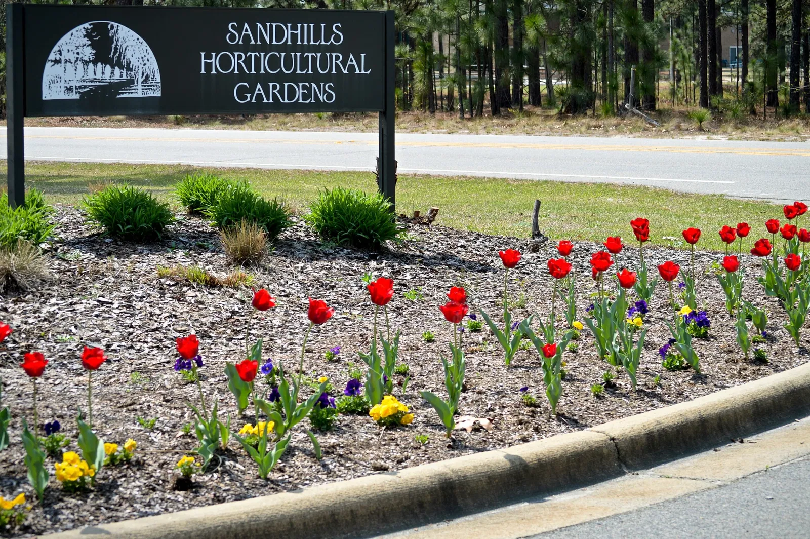 Sandhills Horticultural Gardens