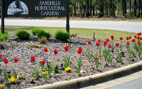 Sandhills Horticultural Gardens