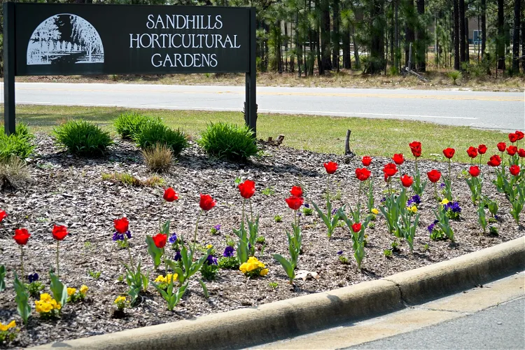 Sandhills Horticultural Gardens