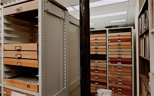 Essig Museum of Entomology