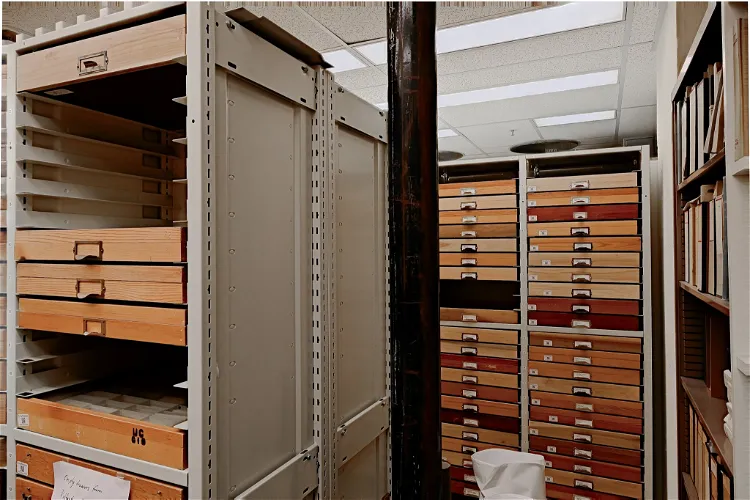 Essig Museum of Entomology