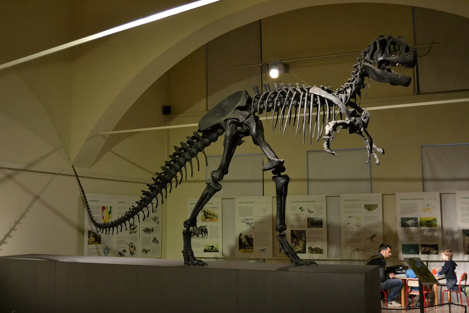 Museo Civico di Scienze Naturali Enrico Caffi