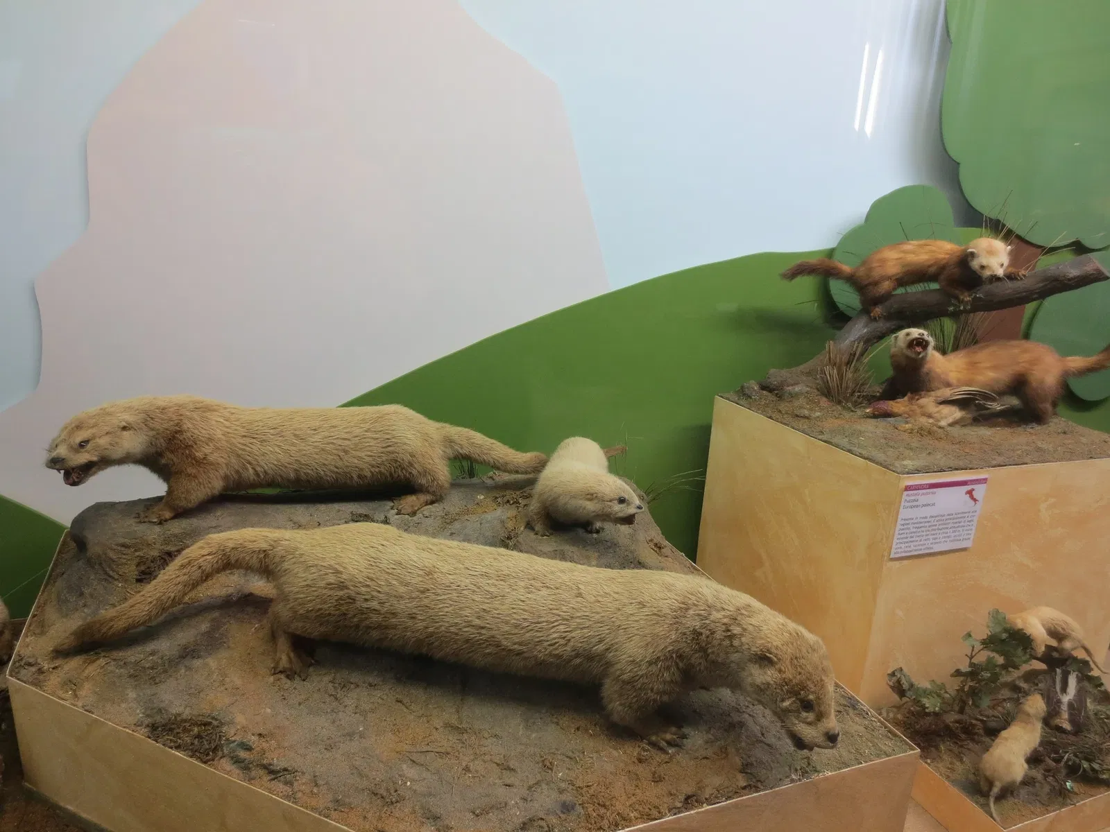 Museo di Storia Naturale