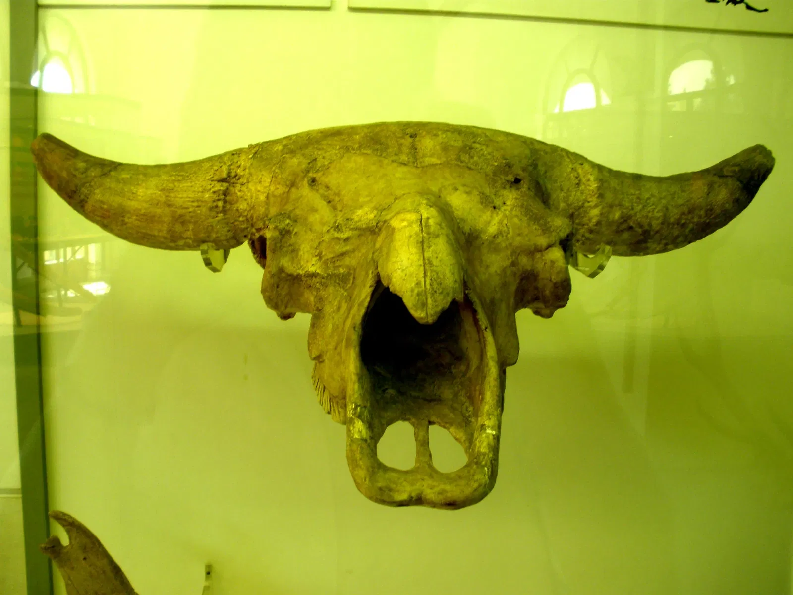 Museo di Storia Naturale